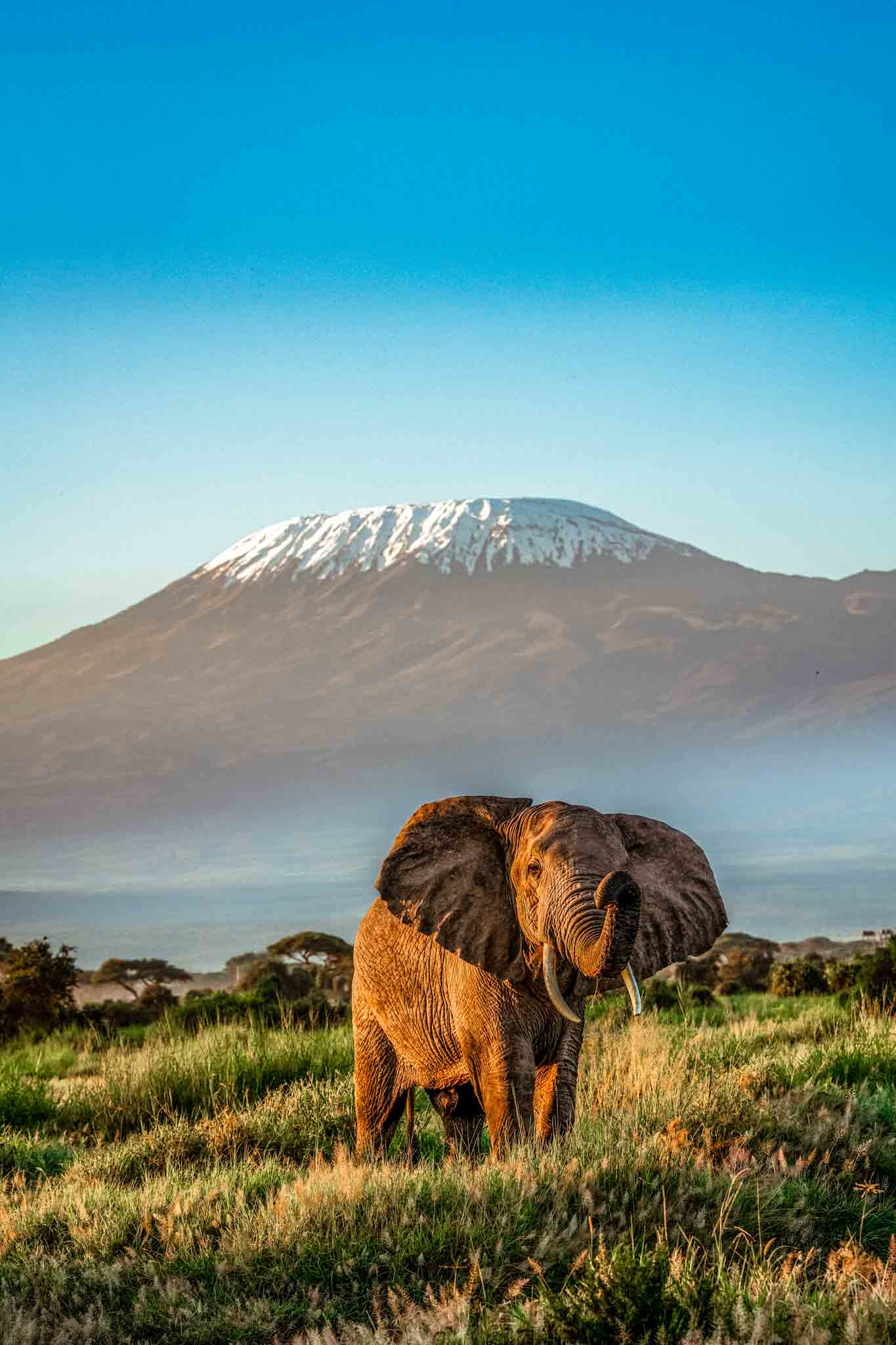 Kilimanjaro Climb